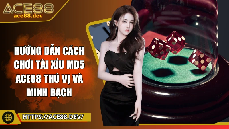 Bí quyết cách chơi tài xỉu MD5 ACE88 thú vị và minh bạch
